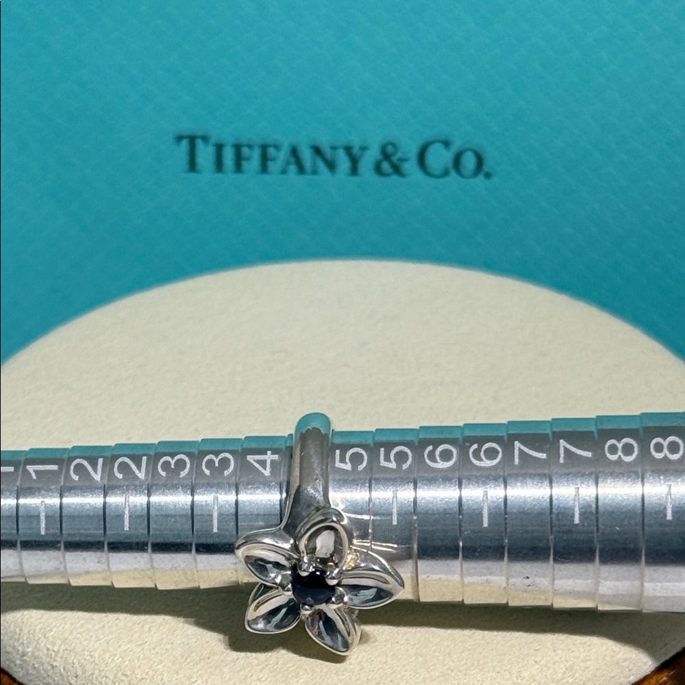 Tiffany & Co. Sterling Silver Iolite Daisy flower Iolite Ring - Picture 10 of 11